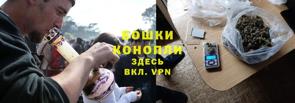 сатива Богородск