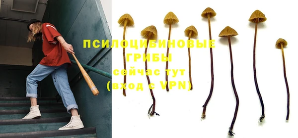 2c-b Вяземский