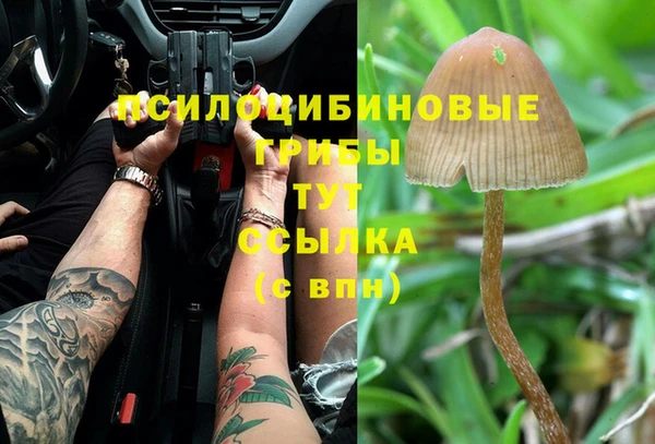 прущая мука Богородицк