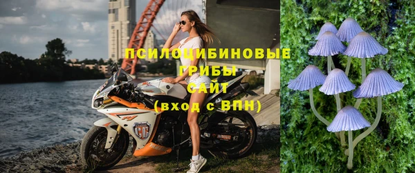 сатива Богородск