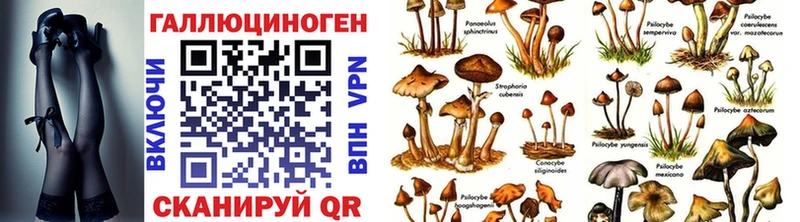 Псилоцибиновые грибы MAGIC MUSHROOMS  Мещовск 