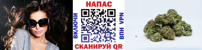 Канабис гибрид  Мещовск 